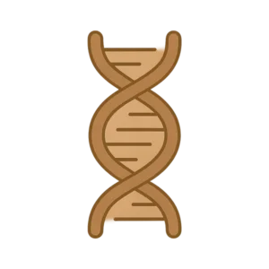Stylized strand of DNA symbolizing the importance of genetics in determining risk for progression of CKD