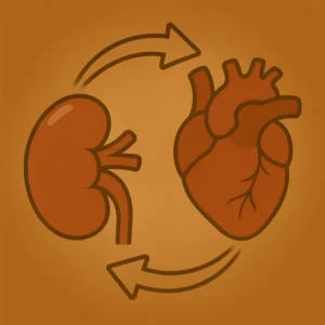 Blood pressure and chronic kidney disease in a viscious cycle