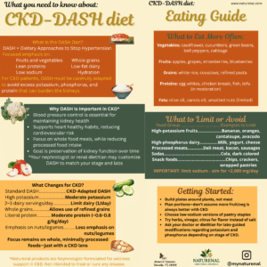 Double-sided CKD-DASH diet rack card with kidney-safe food swaps, adapted DASH guidance, and renal health education for hypertension and CKD patients