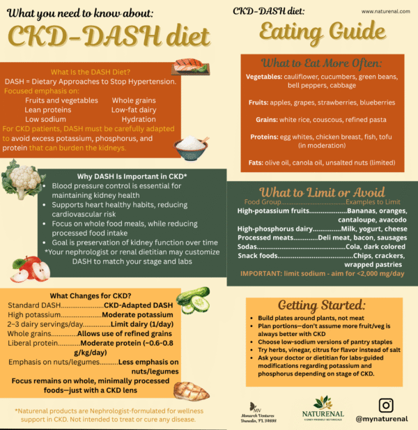 Double-sided CKD-DASH diet rack card with kidney-safe food swaps, adapted DASH guidance, and renal health education for hypertension and CKD patients