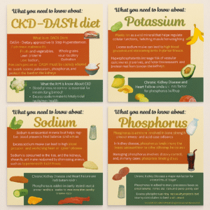Image showing CKD nutrition rack card bundle with DASH, potassium, sodium, and phosphorus education cards arranged side by side