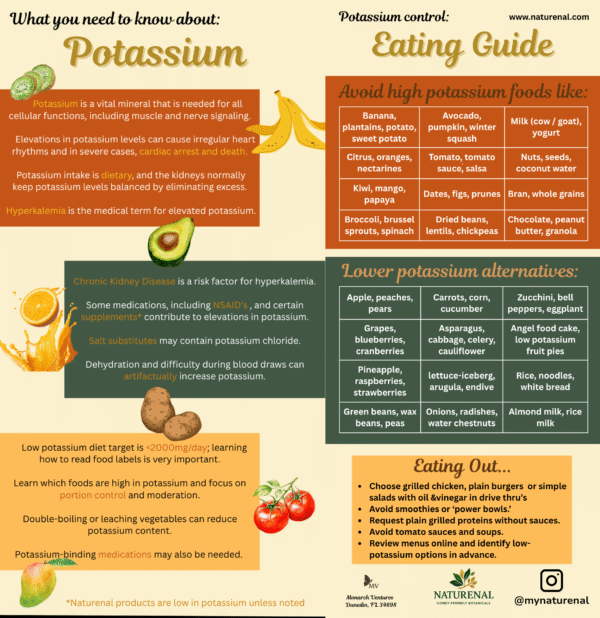Double-sided potassium control rack card for CKD patients, showing food swaps, portion guidance, and daily potassium awareness tools