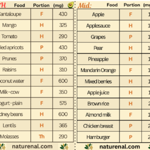 Z-fold potassium wallet card thumbnail showing high, moderate, and low potassium foods for kidney health management