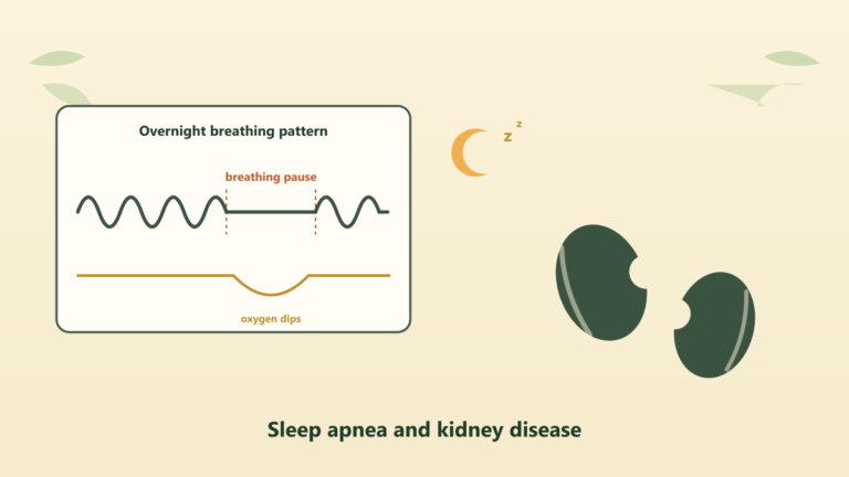 Overnight breathing monitor showing a flat breathing pause with an oxygen dip, beside two kidney silhouettes