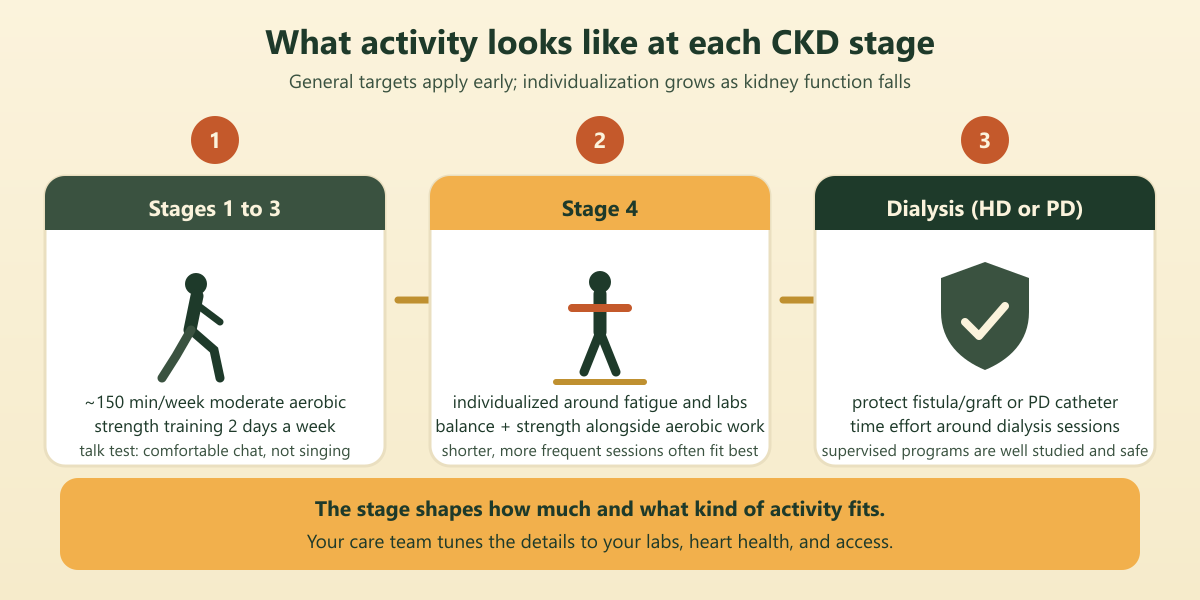 A quick map of what typical exercise in CKD looks like by stage, from early disease through dialysis. Your personal plan may differ; your care team can adjust it.