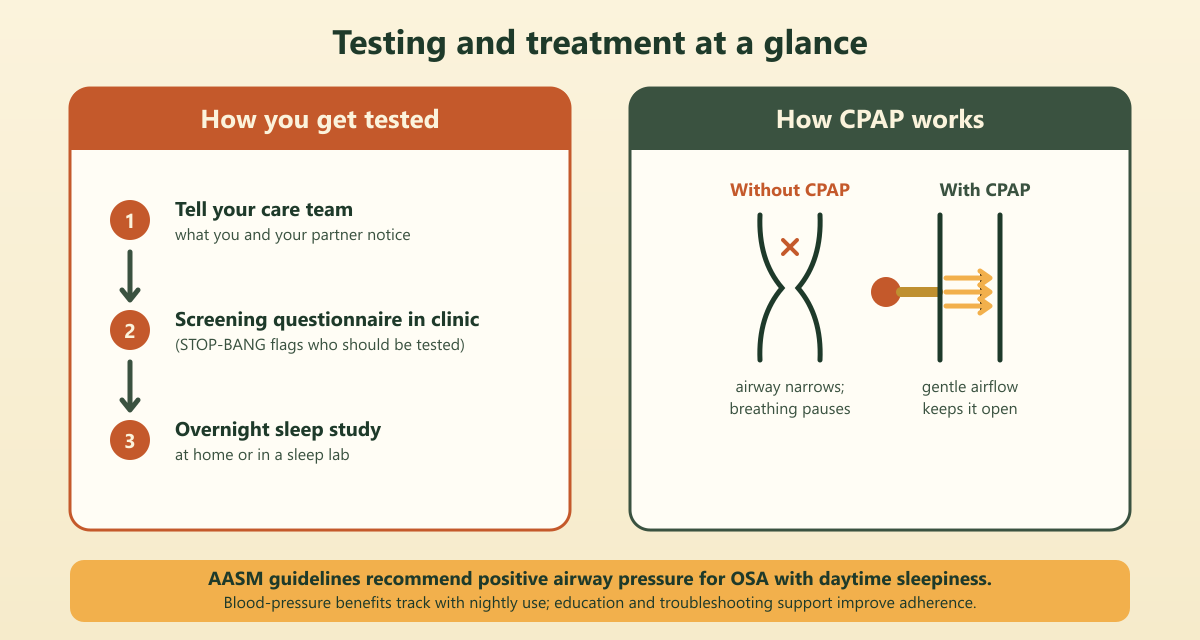 Two-panel diagram showing how to get tested for sleep apnea (care team, screening questionnaire, overnight sleep study) and how CPAP keeps the airway open with gentle airflow