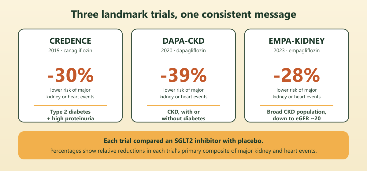 Three trial cards showing risk reductions of 30 percent for CREDENCE, 39 percent for DAPA-CKD, and 28 percent for EMPA-KIDNEY